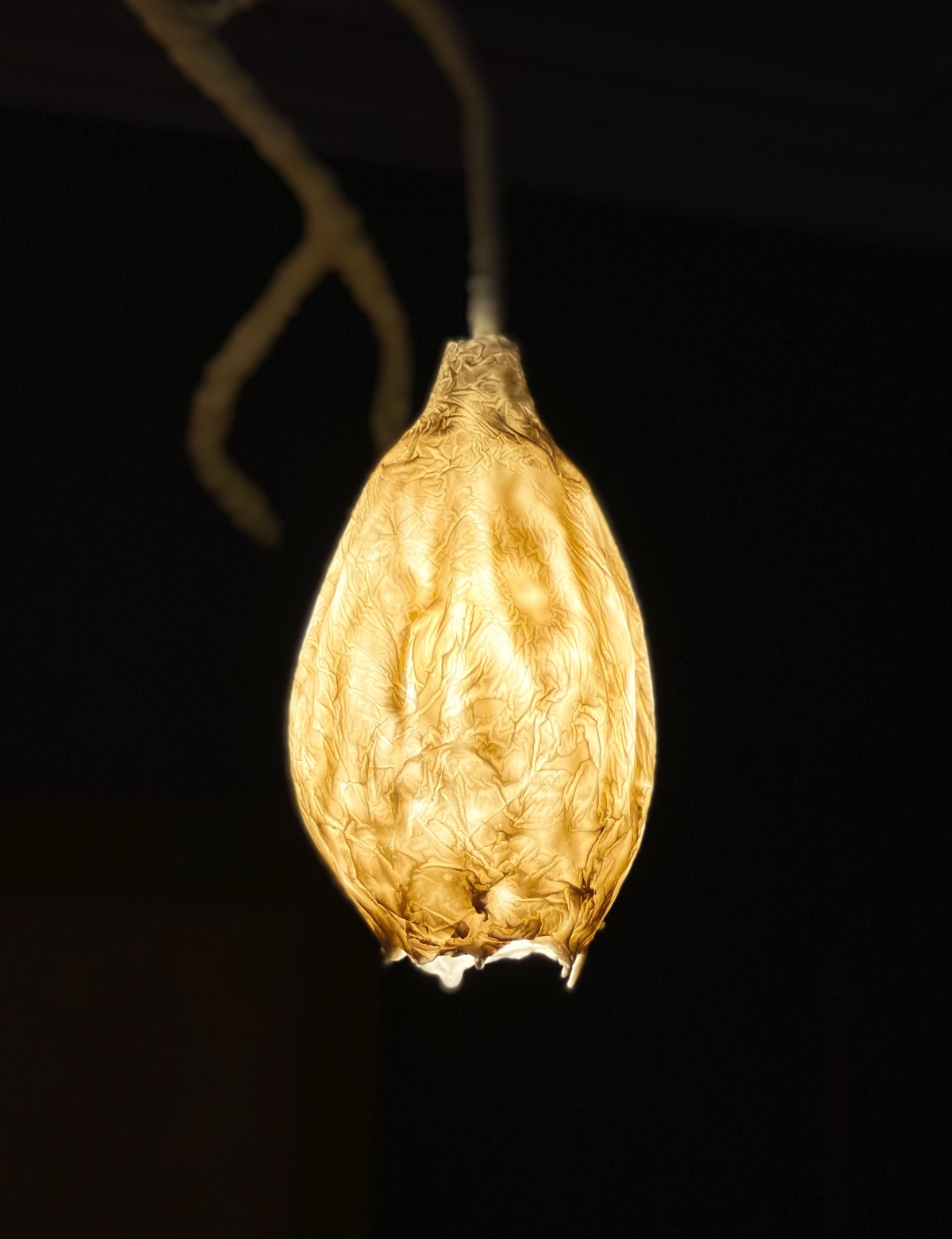 luster-design hanglamp – binnenverlichting- Prive woning Kortrijk